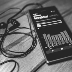 Audio Services - Image 10